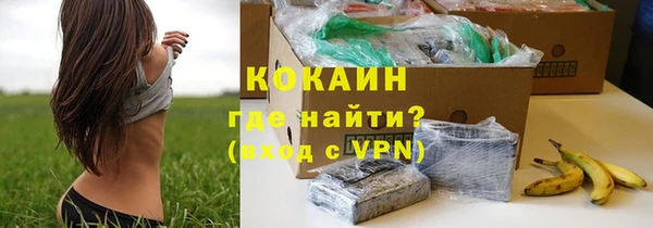 винт Гусев