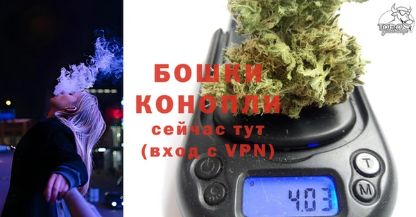 гидропоника Гусь-Хрустальный