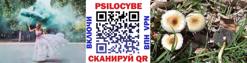 Купить где  Суровикино  Галлюциногенные грибы Cubensis 
