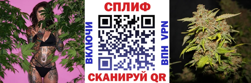 Купить где  Суровикино  Каннабис White Widow 